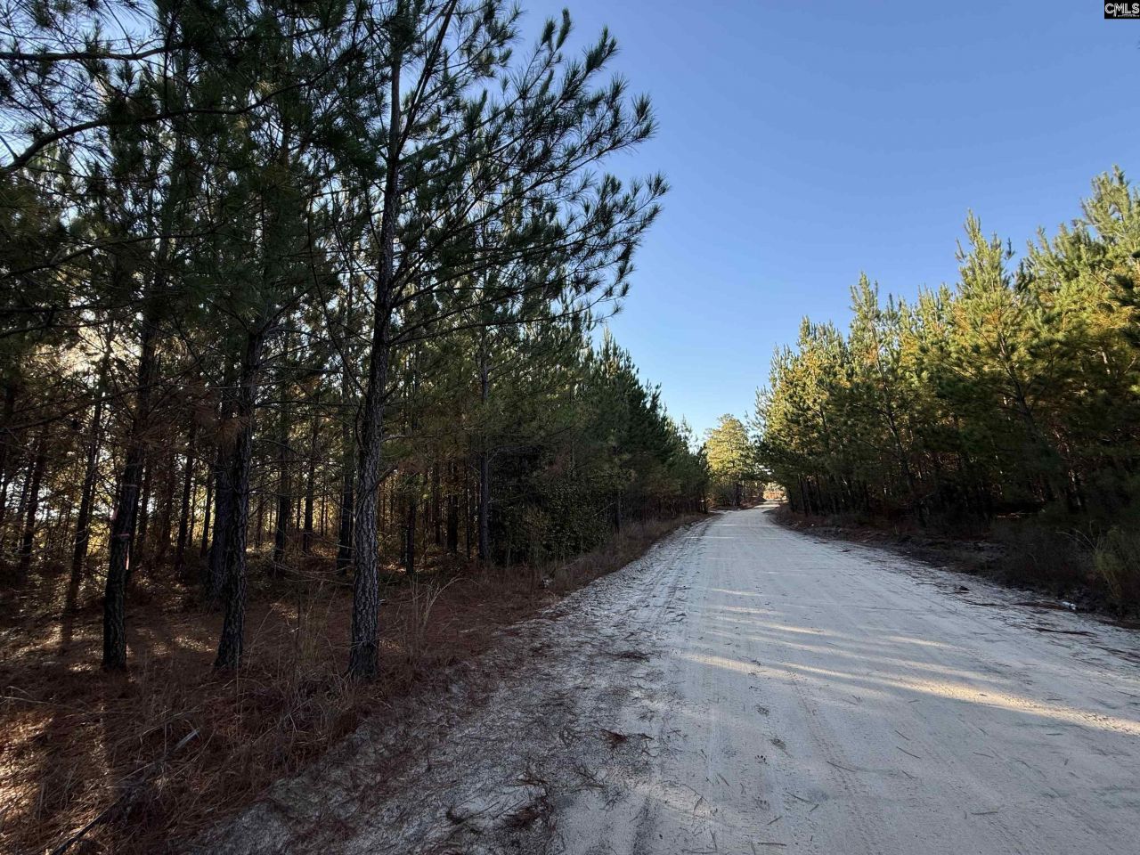 Fairview Road Photo 9