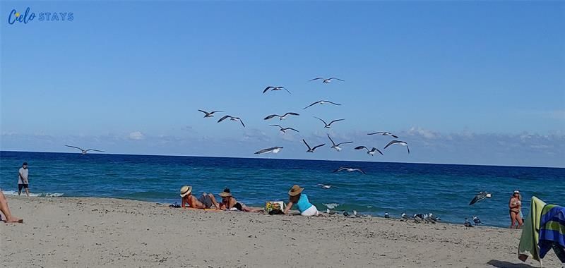 777 N Ocean Drive, Unit N522, Hollywood, FL 33019 Photo