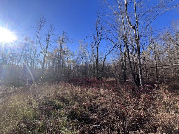 34 Misty Court, Mancelona, MI 49659