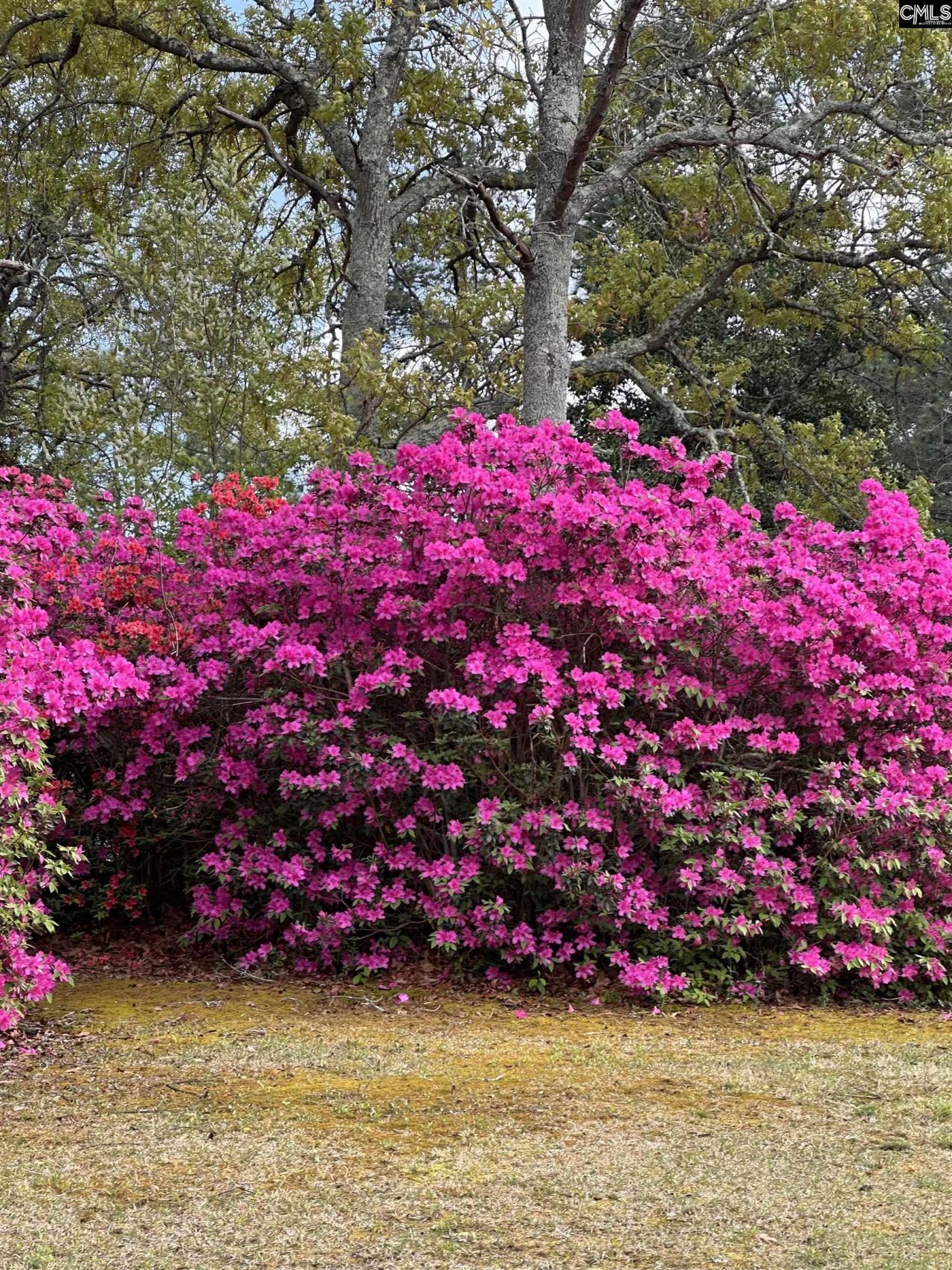 27 Foxhill Court Photo 44