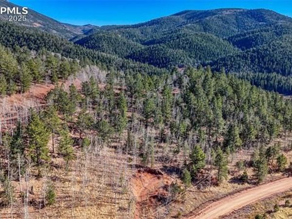 80 Beaver Pond Road, Divide, CO 80814