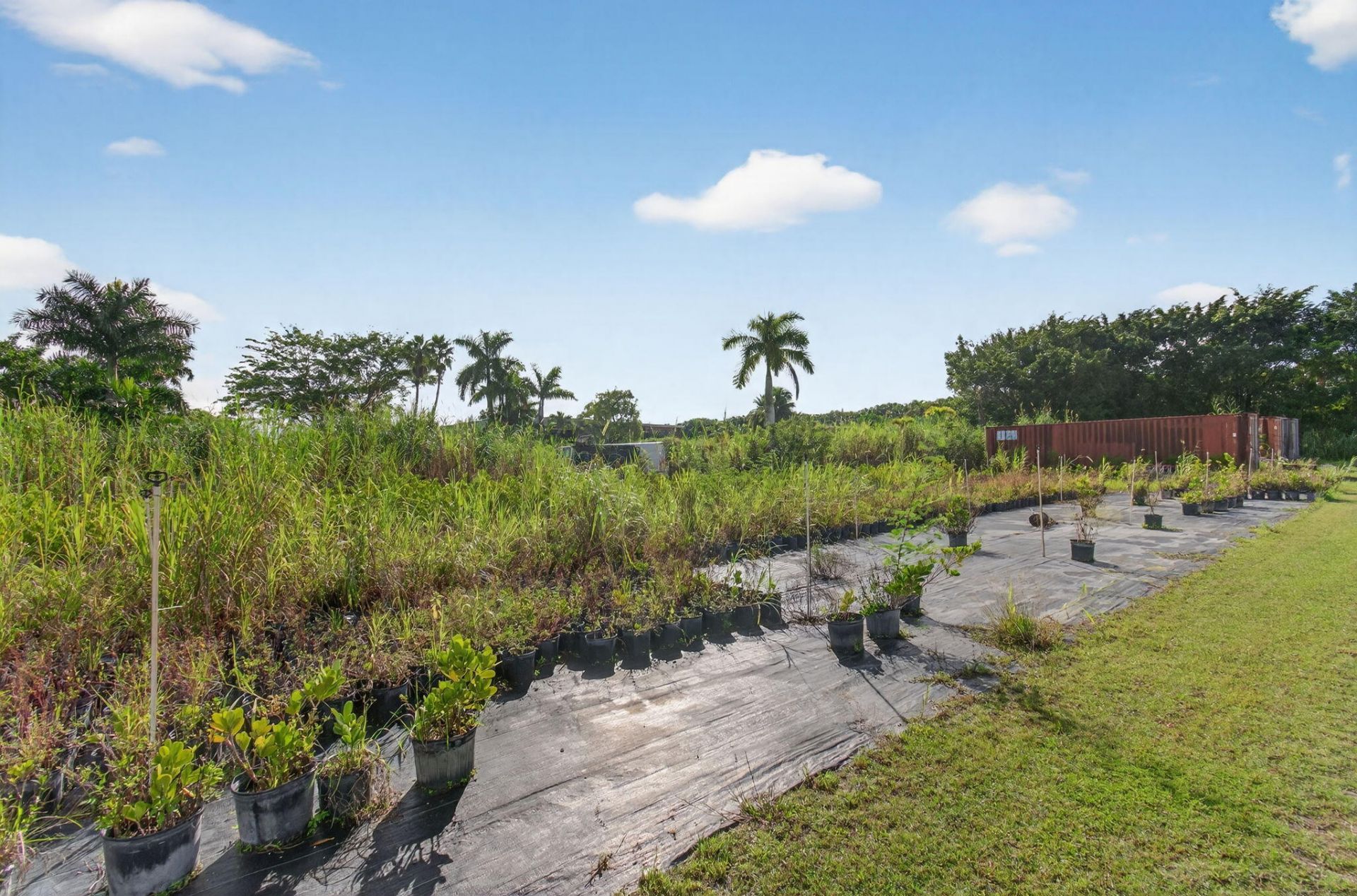 9720 87th Place S, Boynton Beach, FL 33472 Photo