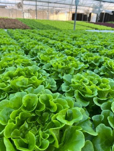 9720 87th Place S, Boynton Beach, FL 33472 Photo