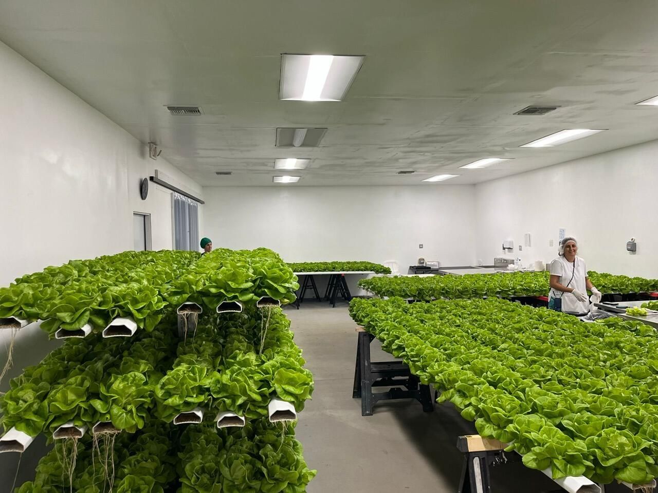 9720 87th Place S, Boynton Beach, FL 33472 Photo