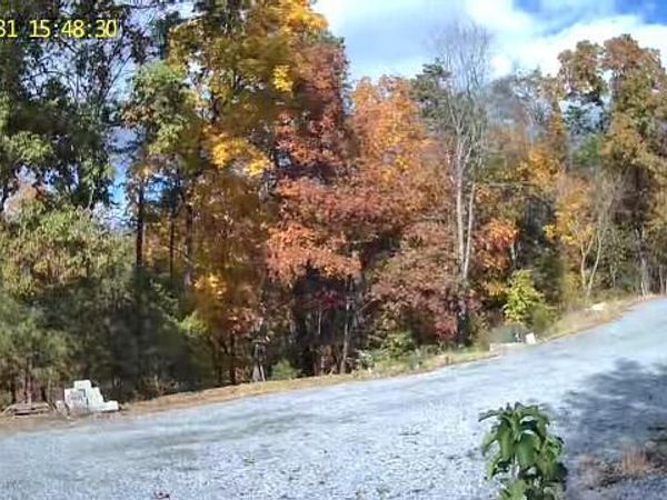 1130 Lee Cardwell Circle Circle, Pigeon Forge, TN 37863