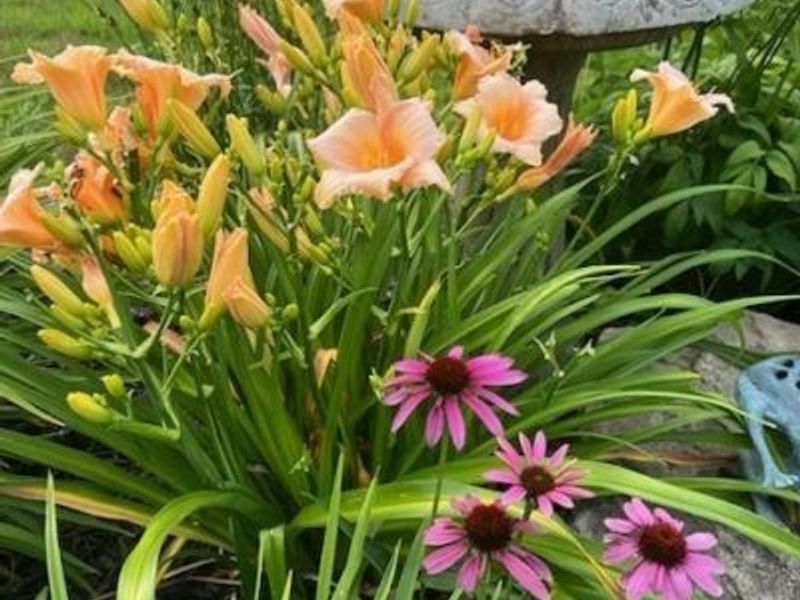 1525 Spruce Hill Drive, Stow, OH 44224 Photo 38