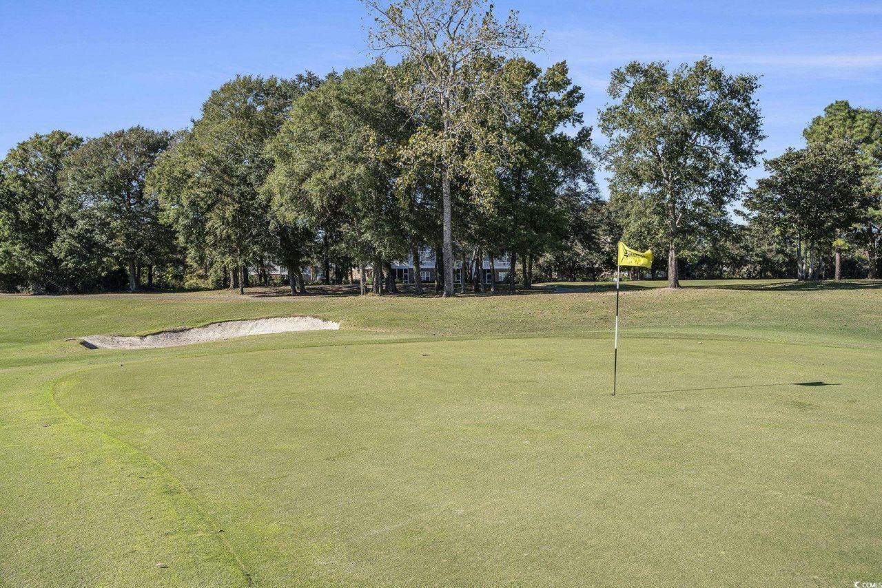 5801 Oyster Catcher Dr. Photo 24