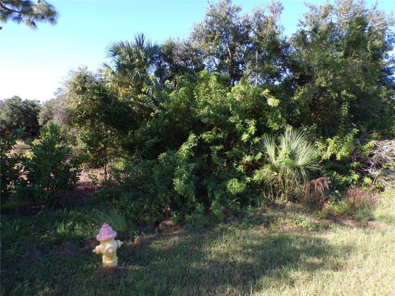 25079 Harborside Boulevard, Punta Gorda, FL 33955 Photo