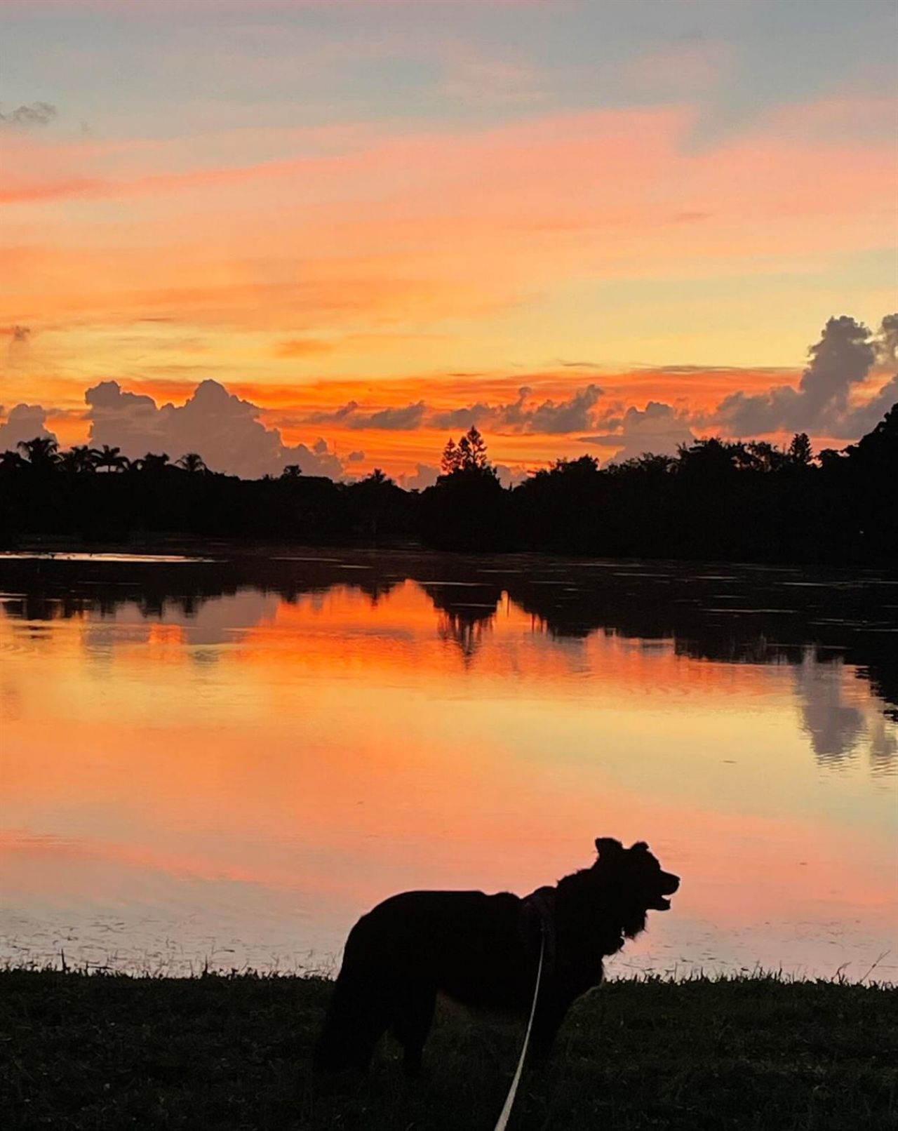 9695 Porta Leona Lane, Boynton Beach, FL 33472 Photo