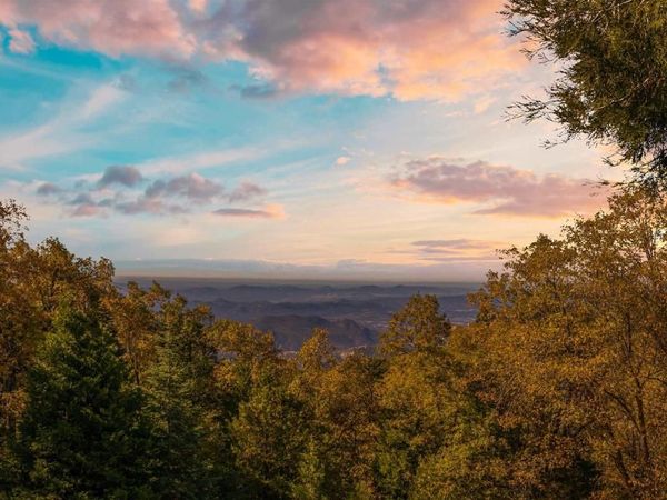 32787 Birch Hill Road, Palomar Mountain, CA 92060