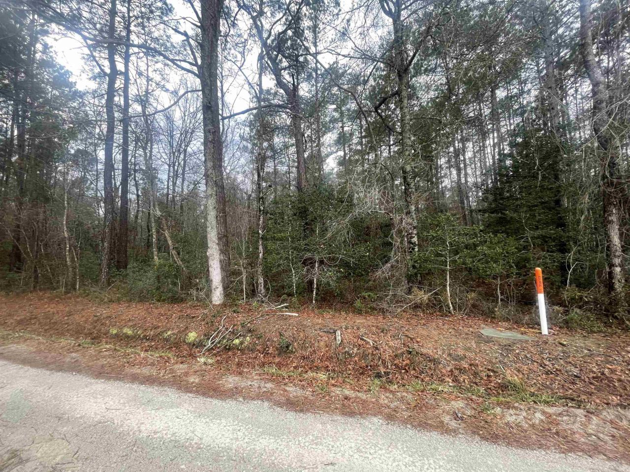 Tbd Turner Pl. Photo 4