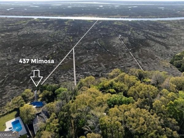 437 Mimosa Drive, St. Simons, GA 31522