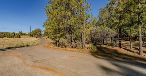 10440 Tabeaud Rd, Pine Grove, CA 95665 Photo