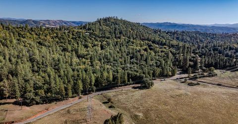 10440 Tabeaud Rd, Pine Grove, CA 95665 Photo