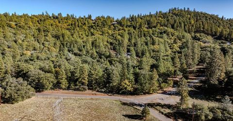 10440 Tabeaud Rd, Pine Grove, CA 95665 Photo