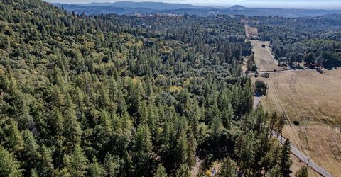 10440 Tabeaud Rd, Pine Grove, CA 95665 Photo