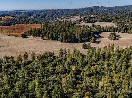 10440 Tabeaud Rd, Pine Grove, CA 95665 Photo