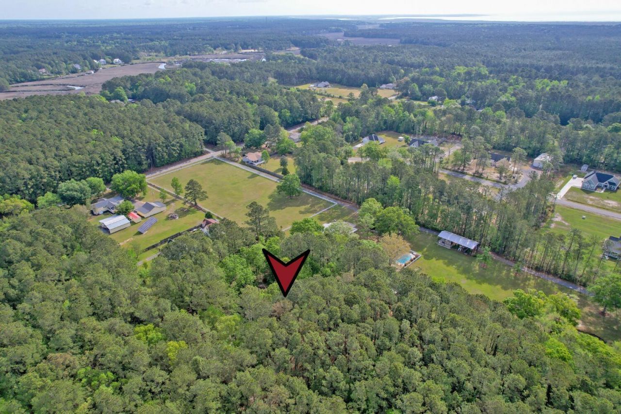 7271 George Washington Lane Photo 58