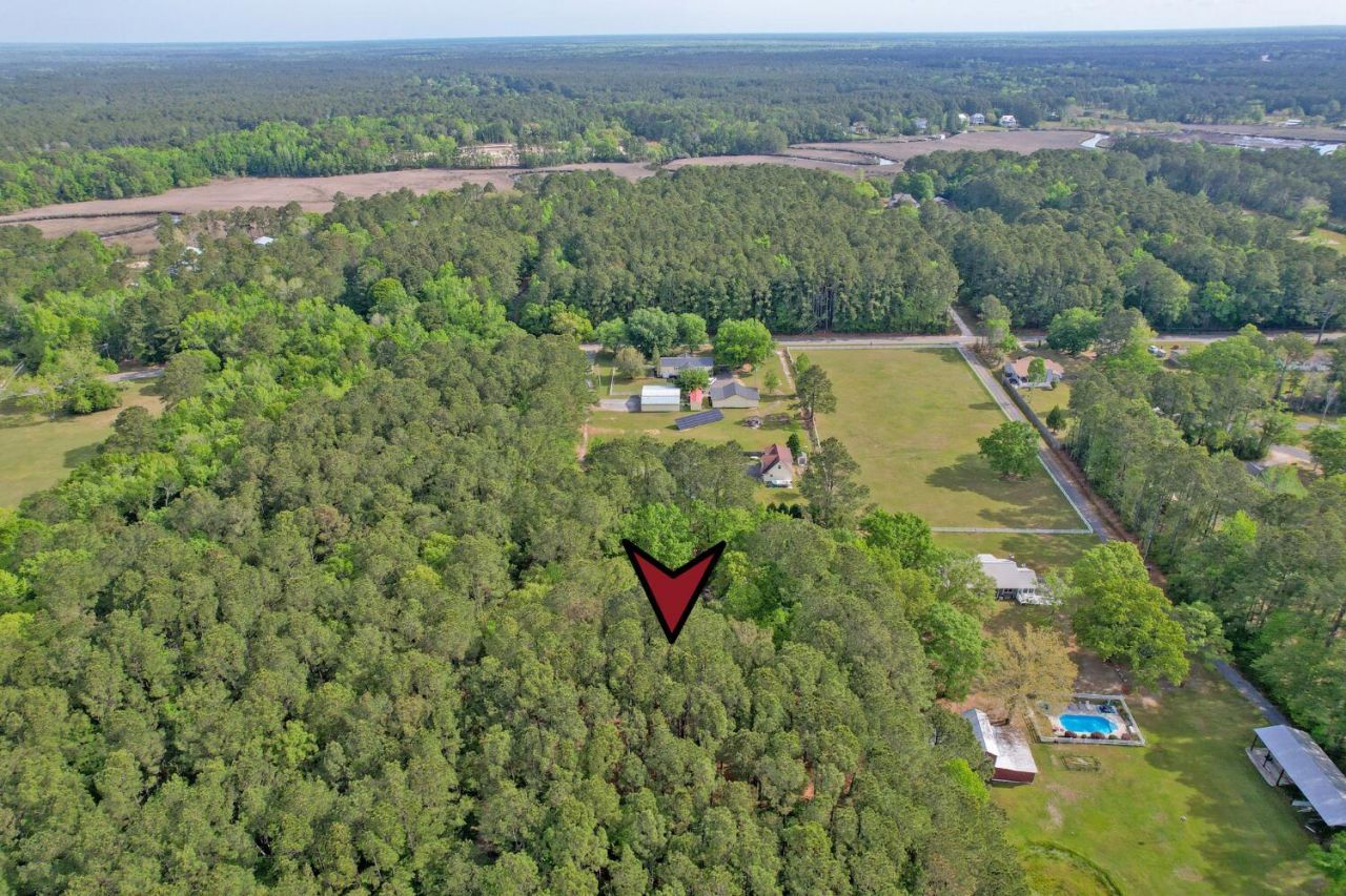 7271 George Washington Lane Photo 59