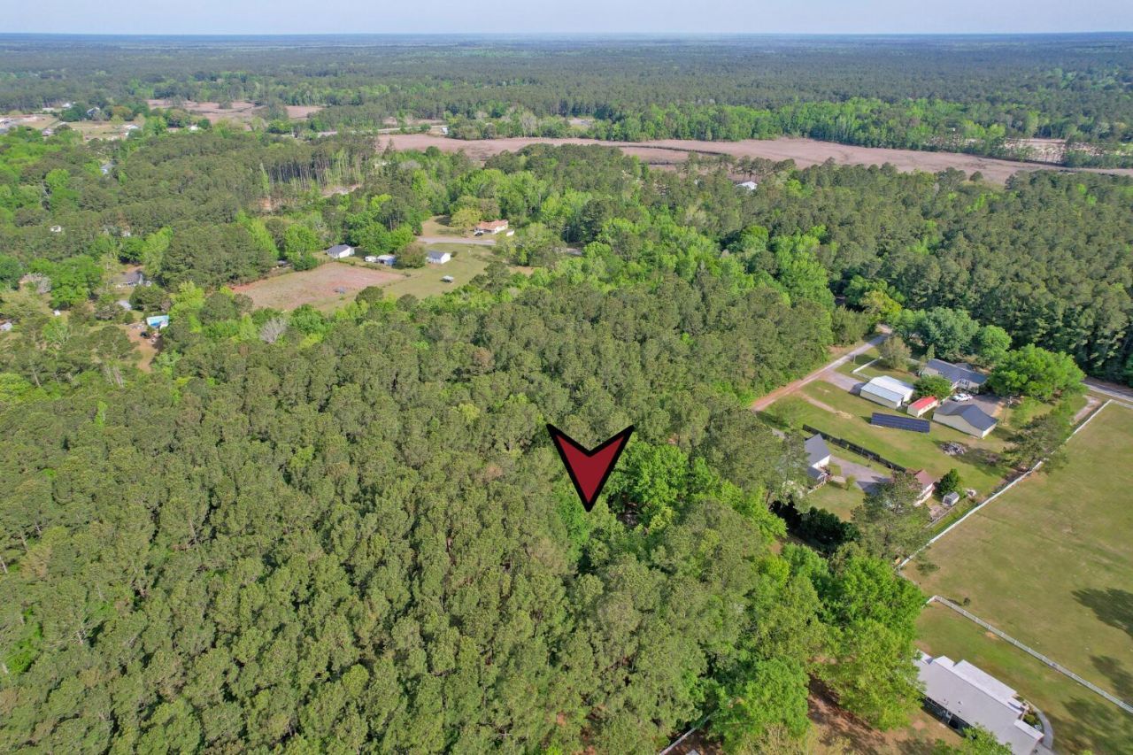 7271 George Washington Lane Photo 60