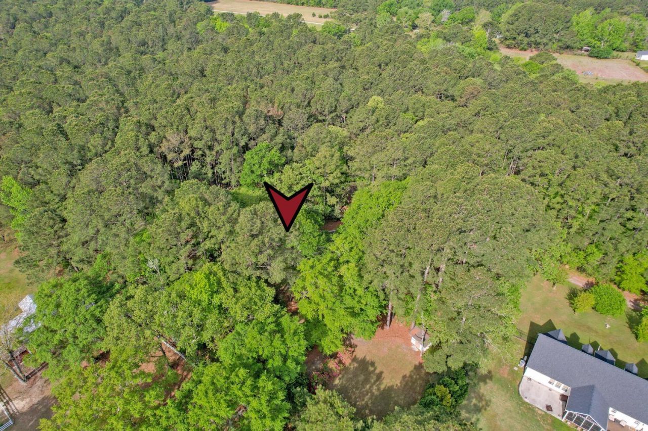 7271 George Washington Lane Photo 61