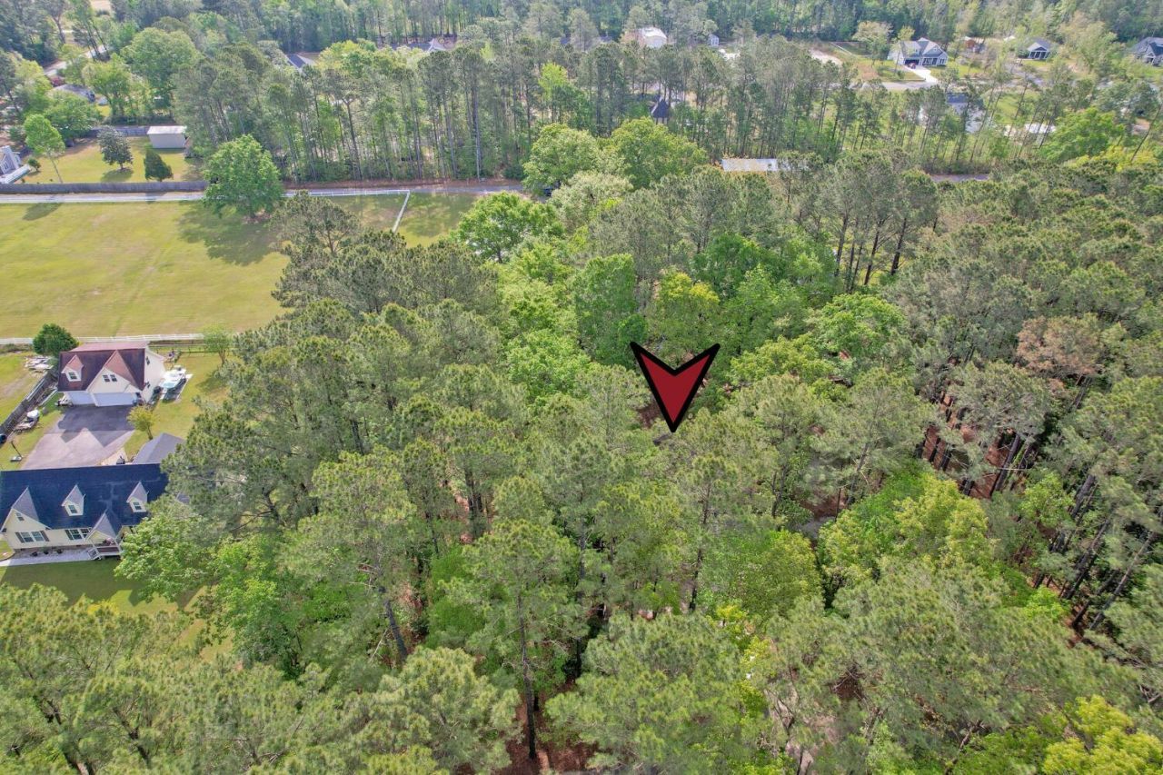 7271 George Washington Lane Photo 63