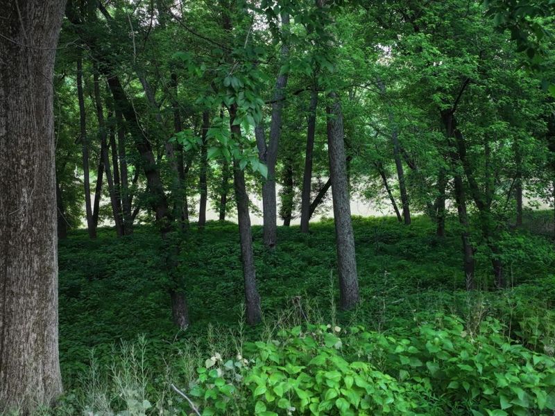 45 Springport Drive, Perry Park, KY 40363 Photo 35