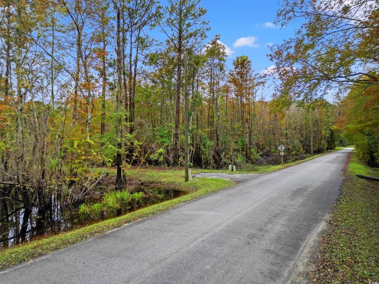 275 Waccamaw River Dr. Photo 1