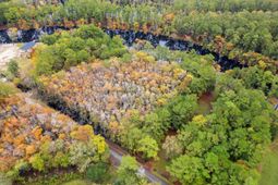 275 Waccamaw River Dr. photo 4