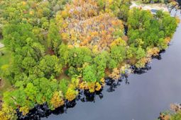 275 Waccamaw River Dr. photo 4