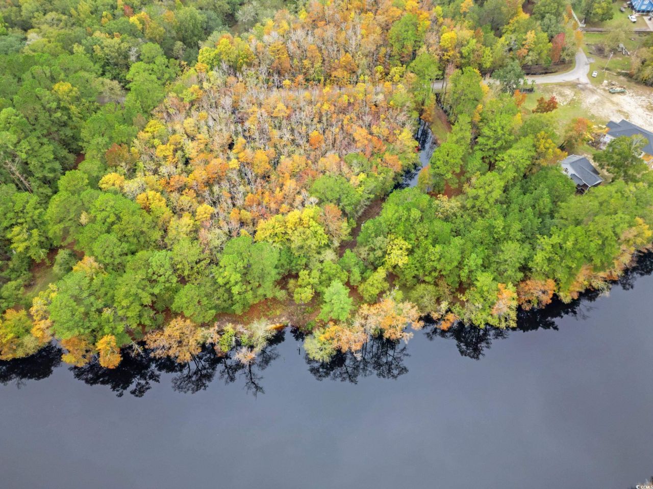 275 Waccamaw River Dr. Photo 8