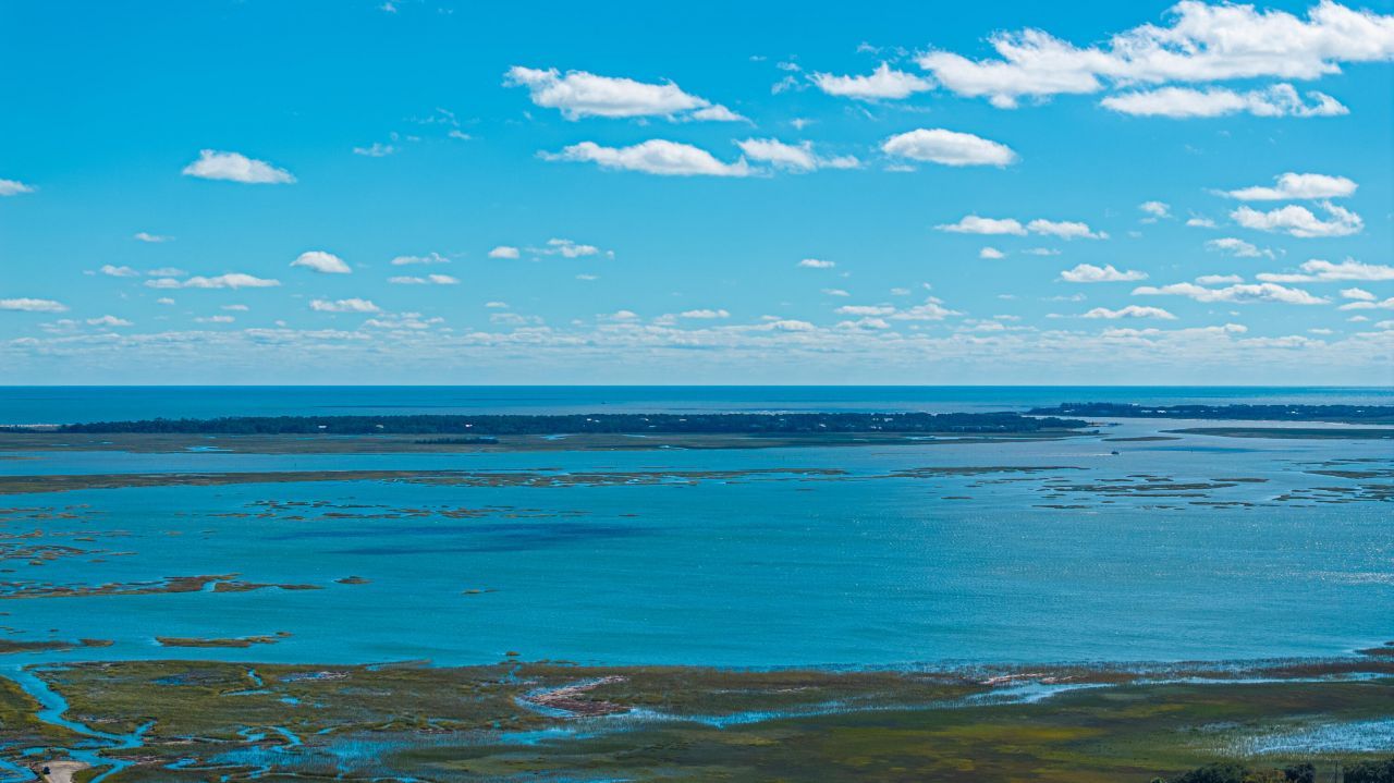 3809 Tim Ascue Lane Photo 13