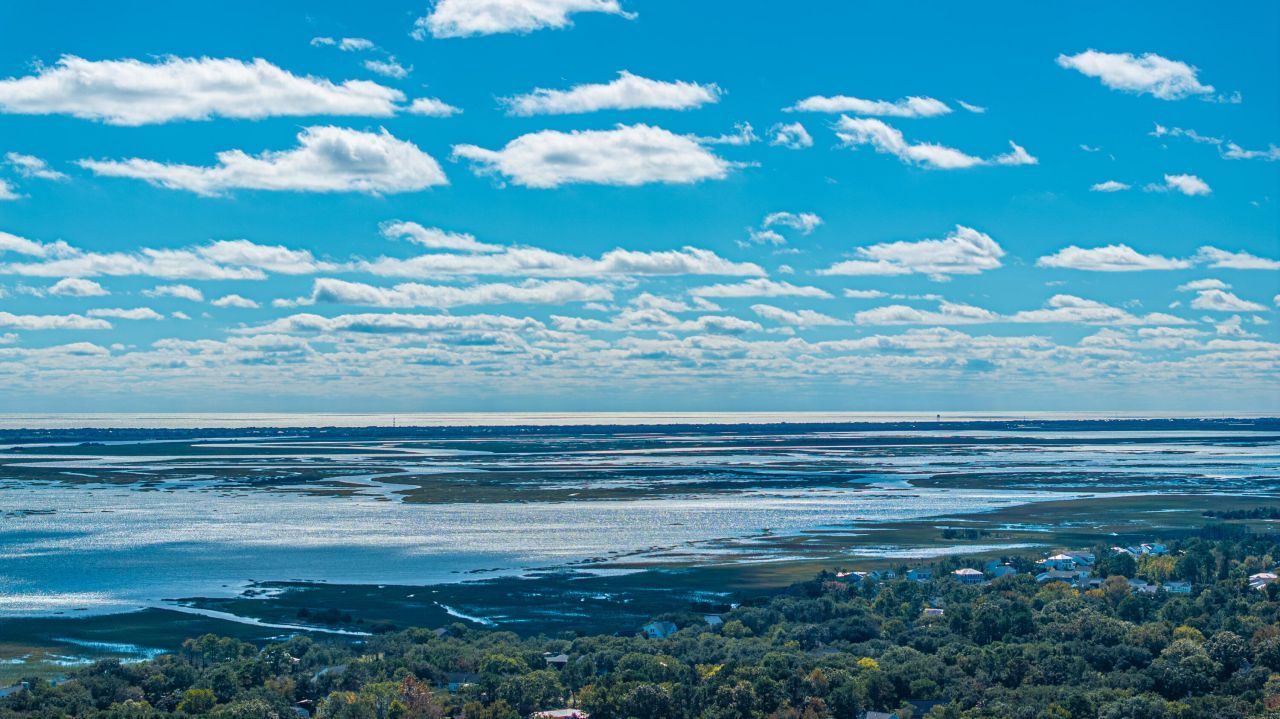 3809 Tim Ascue Lane Photo 14