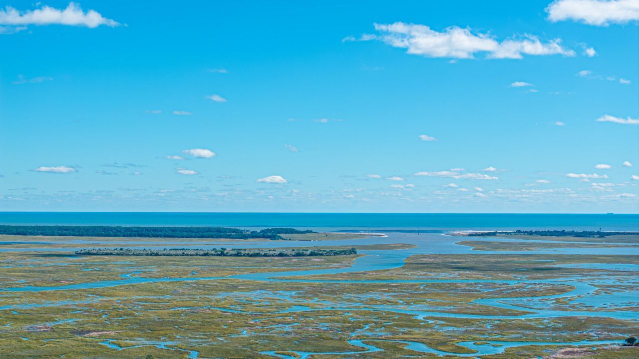 3809 Tim Ascue Lane Photo 15