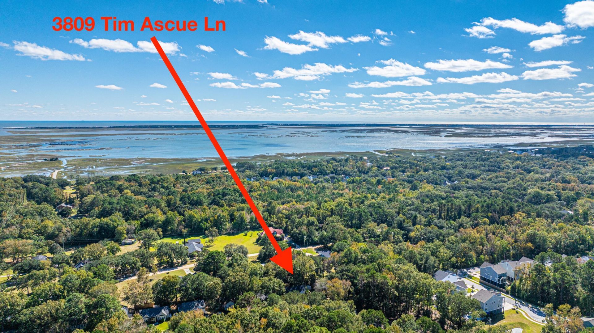 3809 Tim Ascue Lane Photo 40