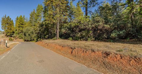 10500 Tabeaud Rd, Pine Grove, CA 95665 Photo