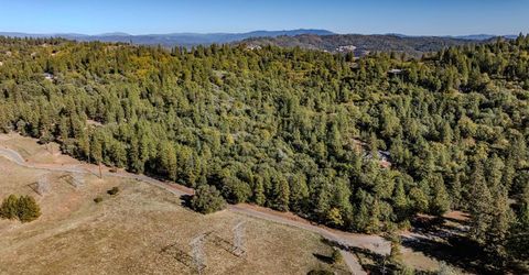 10500 Tabeaud Rd, Pine Grove, CA 95665 Photo