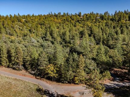 10500 Tabeaud Rd, Pine Grove, CA 95665 Photo