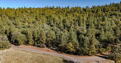 10500 Tabeaud Rd, Pine Grove, CA 95665 Photo