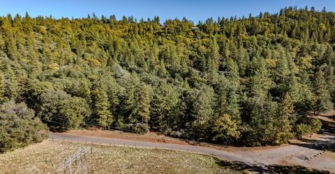 10500 Tabeaud Rd, Pine Grove, CA 95665 Photo