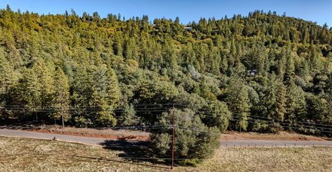 10500 Tabeaud Rd, Pine Grove, CA 95665 Photo