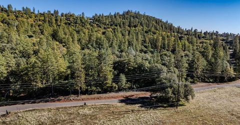 10500 Tabeaud Rd, Pine Grove, CA 95665 Photo