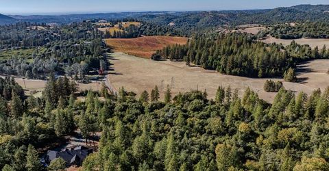 10500 Tabeaud Rd, Pine Grove, CA 95665 Photo