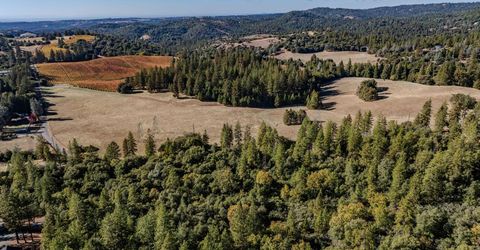 10500 Tabeaud Rd, Pine Grove, CA 95665 Photo