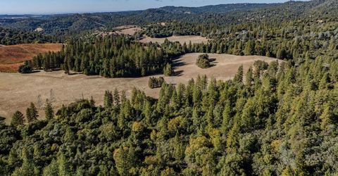 10500 Tabeaud Rd, Pine Grove, CA 95665 Photo