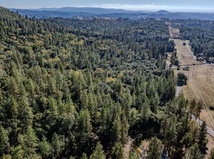 10500 Tabeaud Rd, Pine Grove, CA 95665 Photo