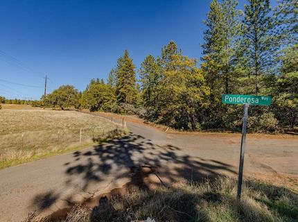 10500 Tabeaud Rd, Pine Grove, CA 95665 Photo