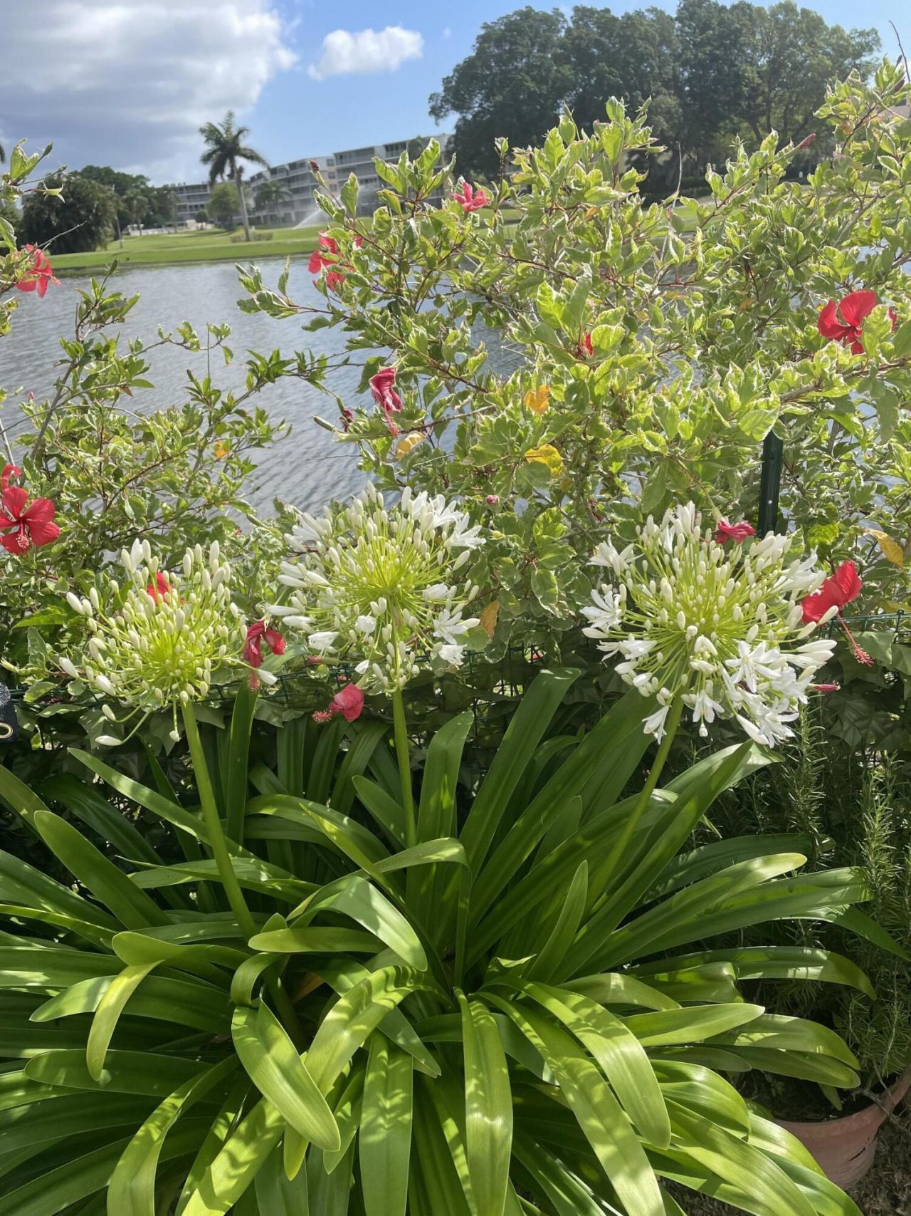 233 Rio Vista Circle, Atlantis, FL 33462 Photo