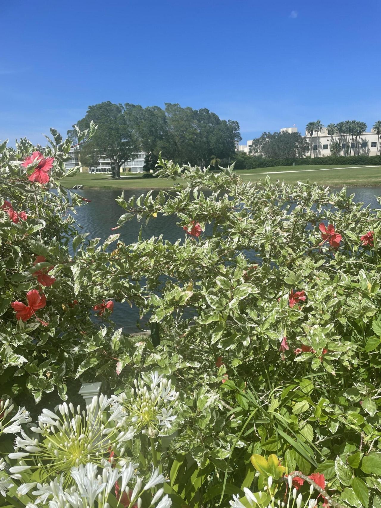 233 Rio Vista Circle, Atlantis, FL 33462 Photo