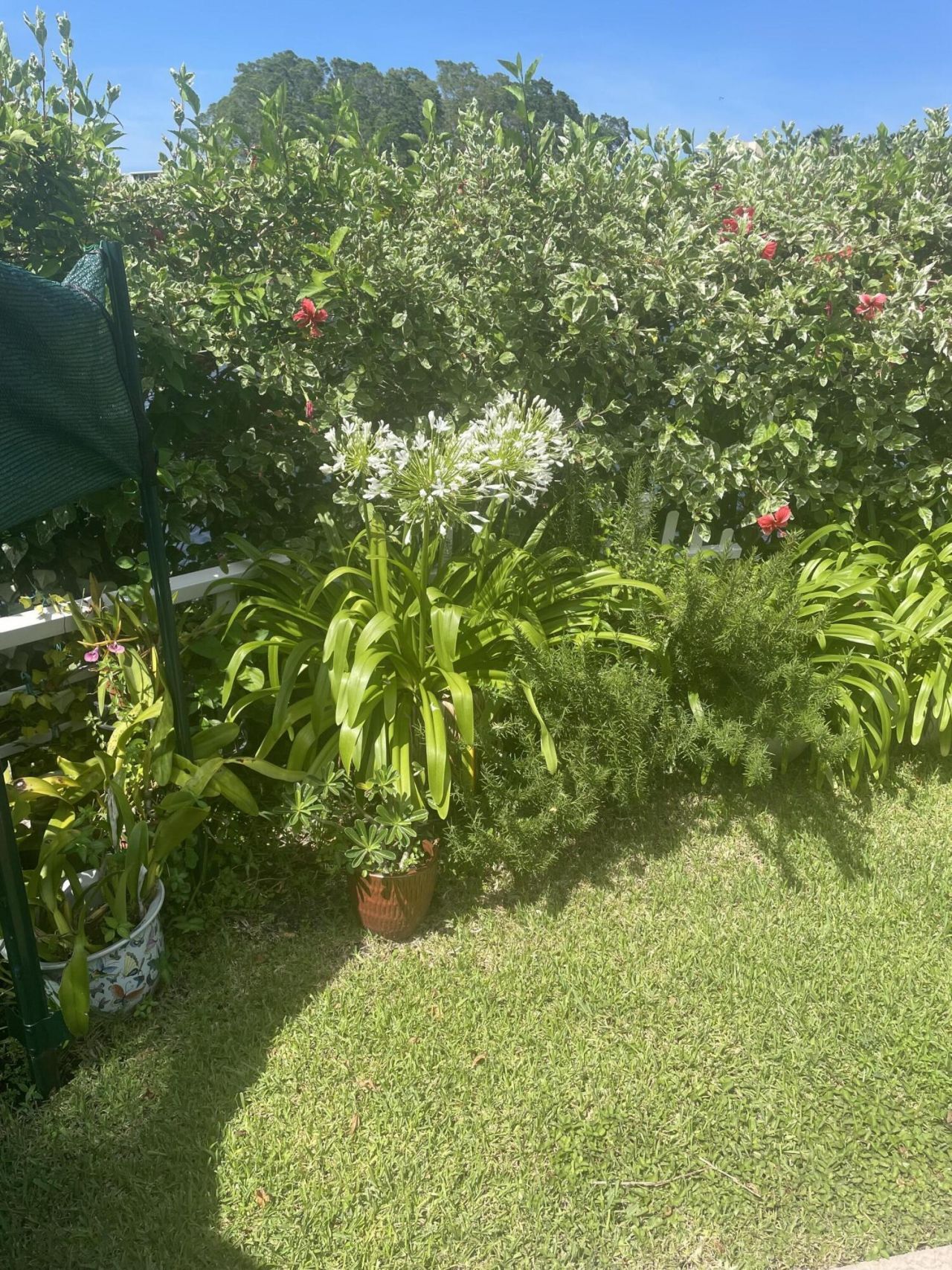 233 Rio Vista Circle, Atlantis, FL 33462 Photo